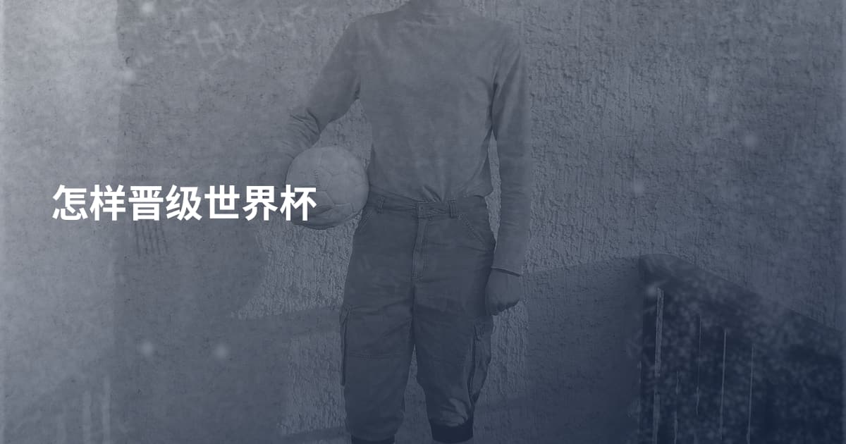 怎样晋级世界杯