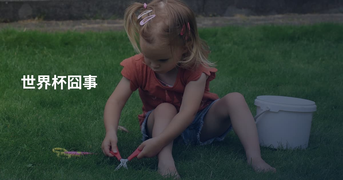 世界杯囧事