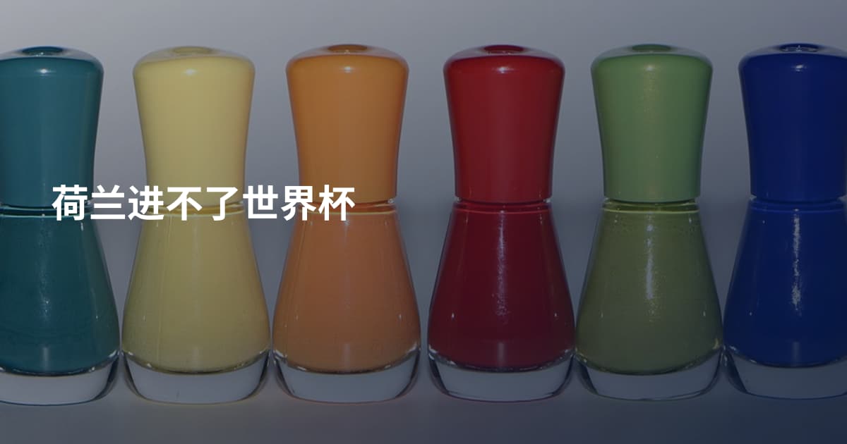 荷兰进不了世界杯