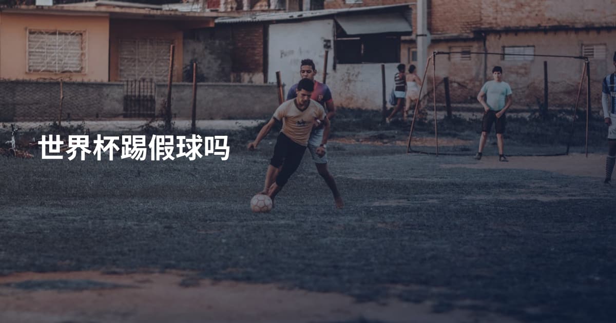 世界杯踢假球吗