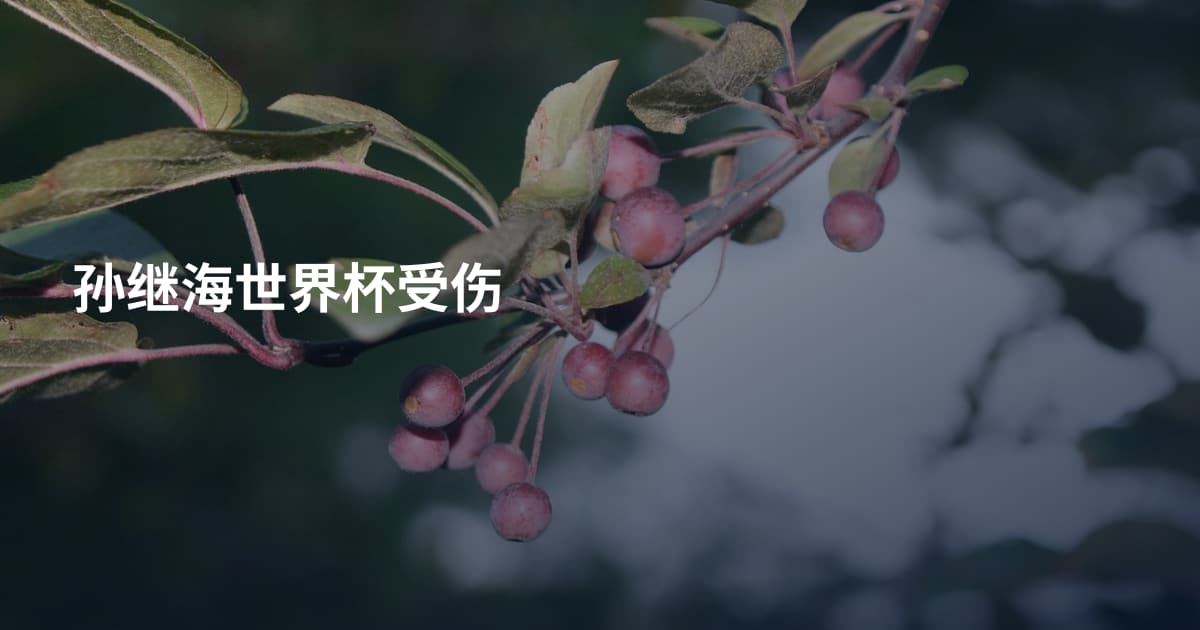 孙继海世界杯受伤