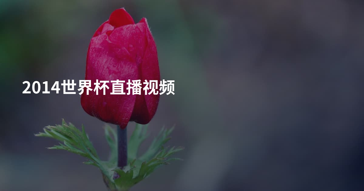 2014世界杯直播视频