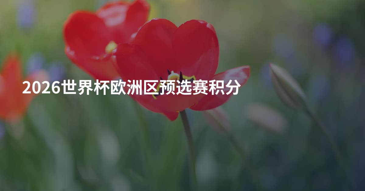 2026世界杯欧洲区预选赛积分