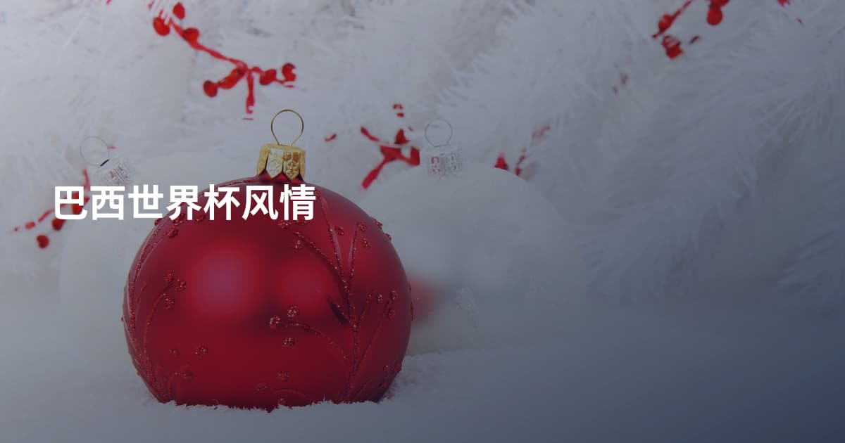 巴西世界杯风情
