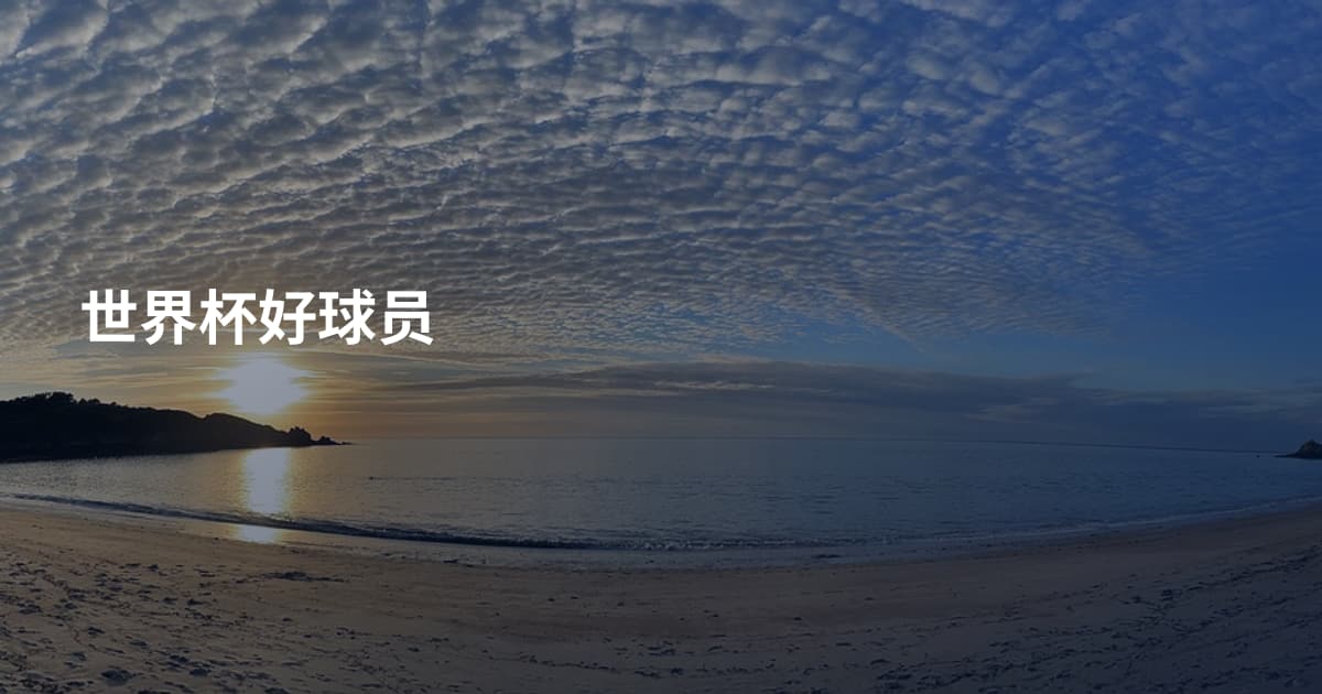 世界杯好球员