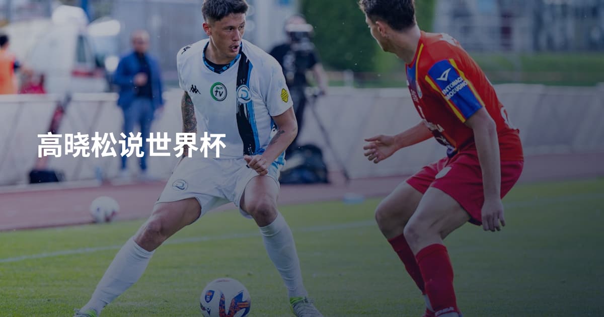 高晓松说世界杯