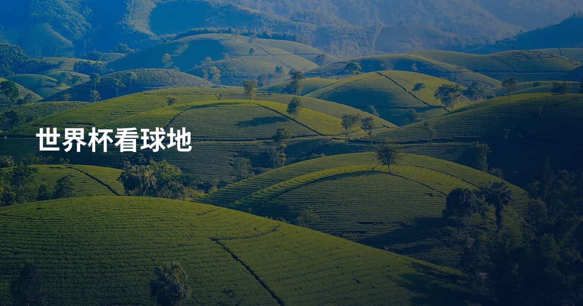 世界杯看球地