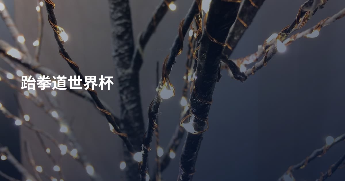 跆拳道世界杯