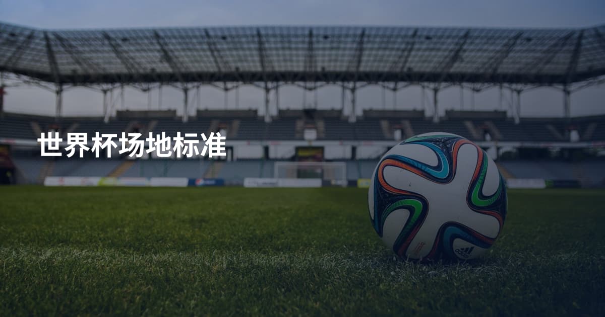 世界杯场地标准