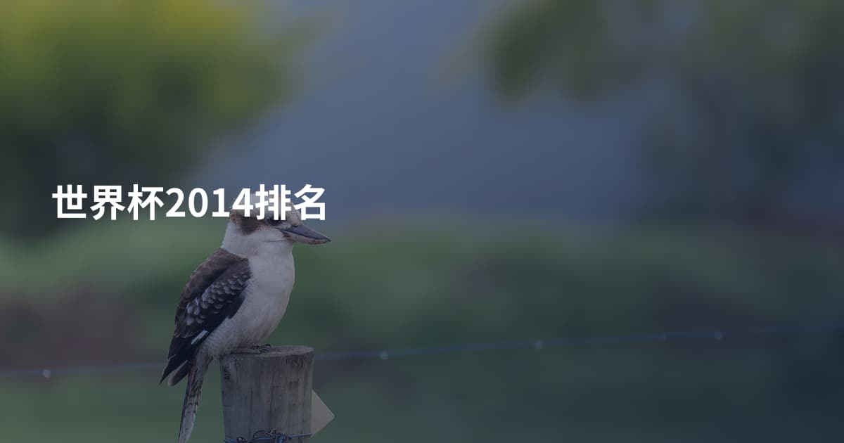 世界杯2014排名