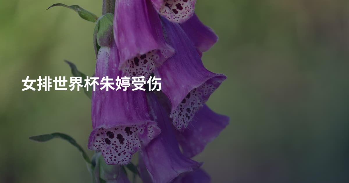 女排世界杯朱婷受伤