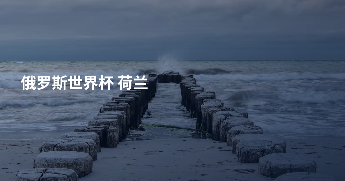 俄罗斯世界杯 荷兰