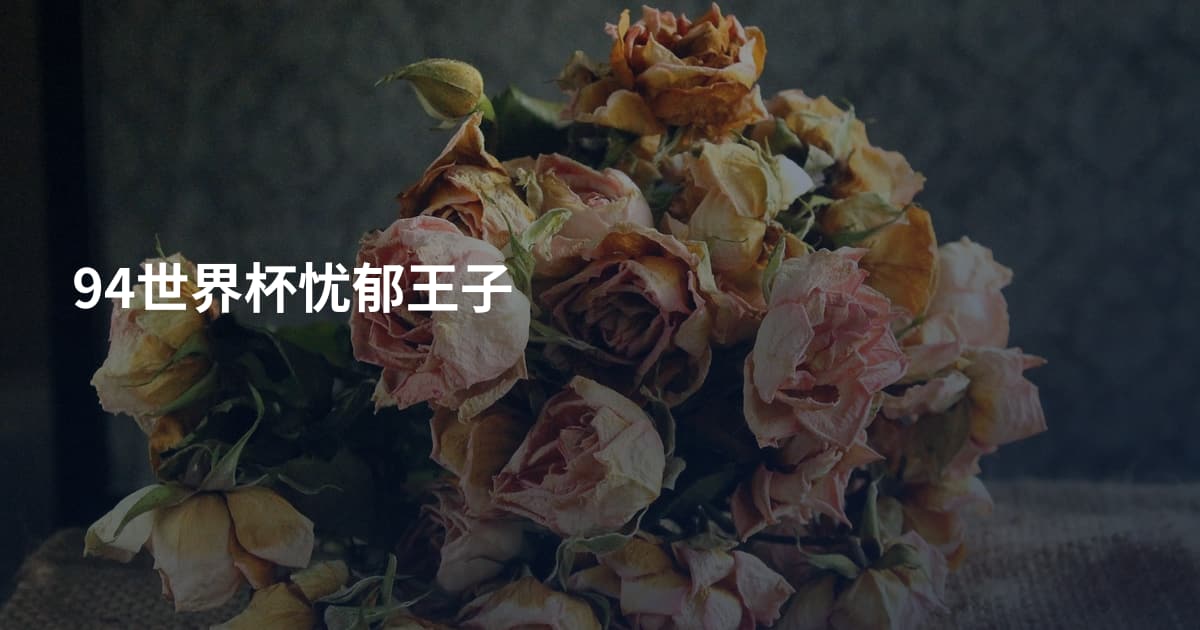 94世界杯忧郁王子
