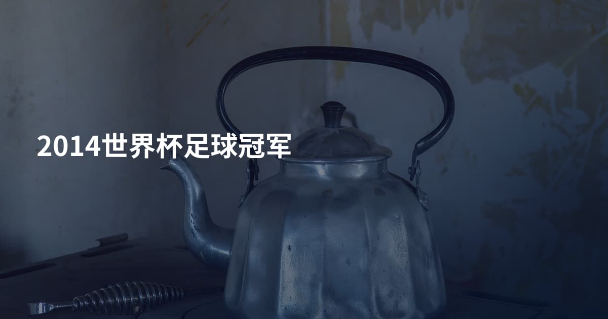 2014世界杯足球冠军