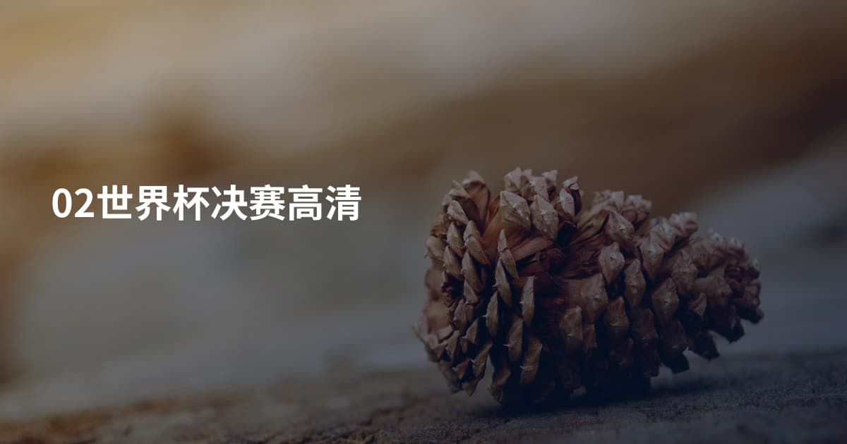 02世界杯决赛高清