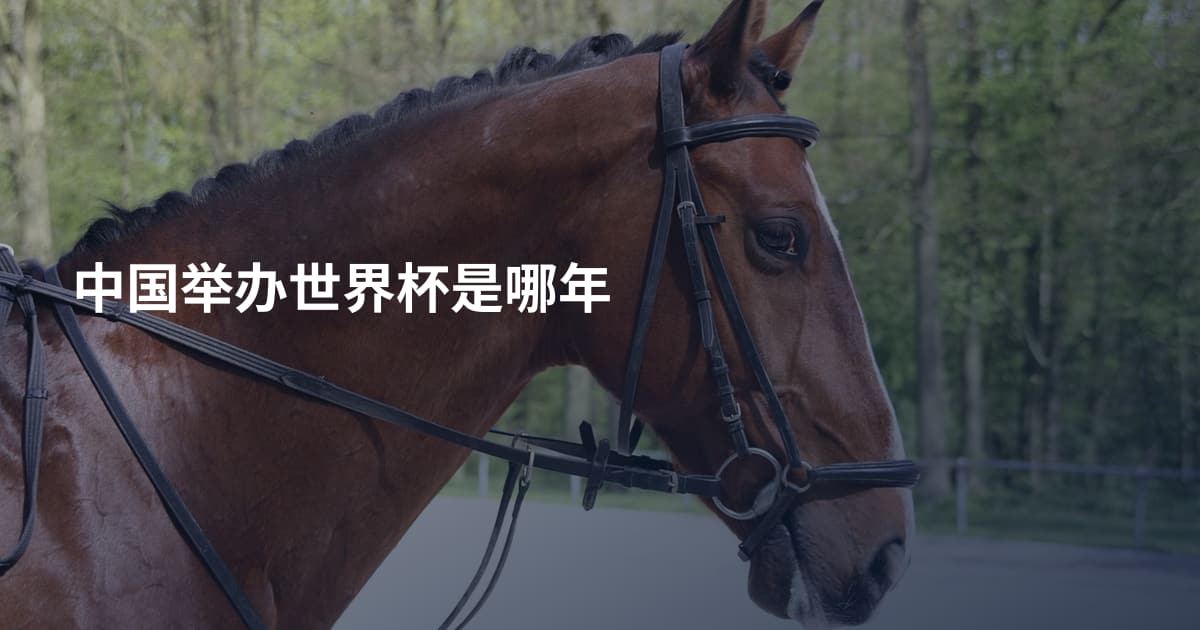 中国举办世界杯是哪年