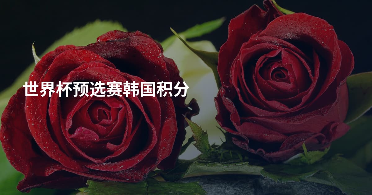世界杯预选赛韩国积分