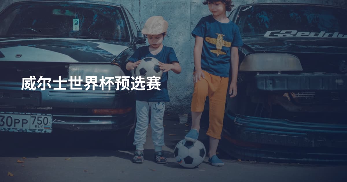 威尔士世界杯预选赛