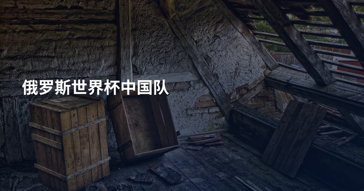 俄罗斯世界杯中国队