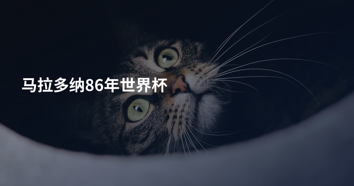 马拉多纳86年世界杯