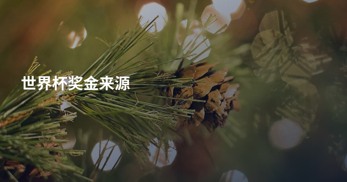 世界杯奖金来源