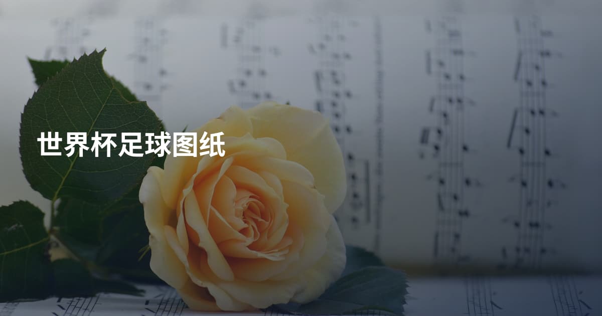 世界杯足球图纸