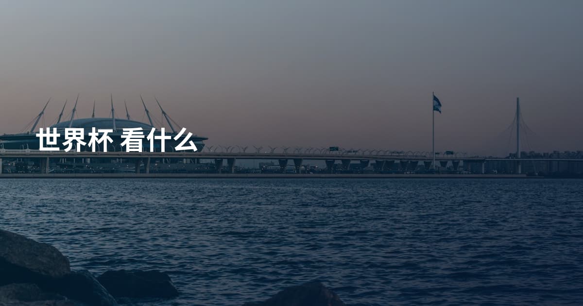 世界杯 看什么