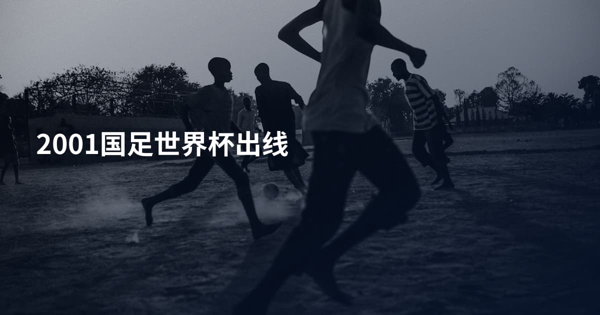 2001国足世界杯出线