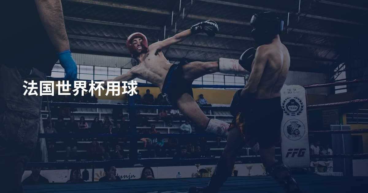 法国世界杯用球