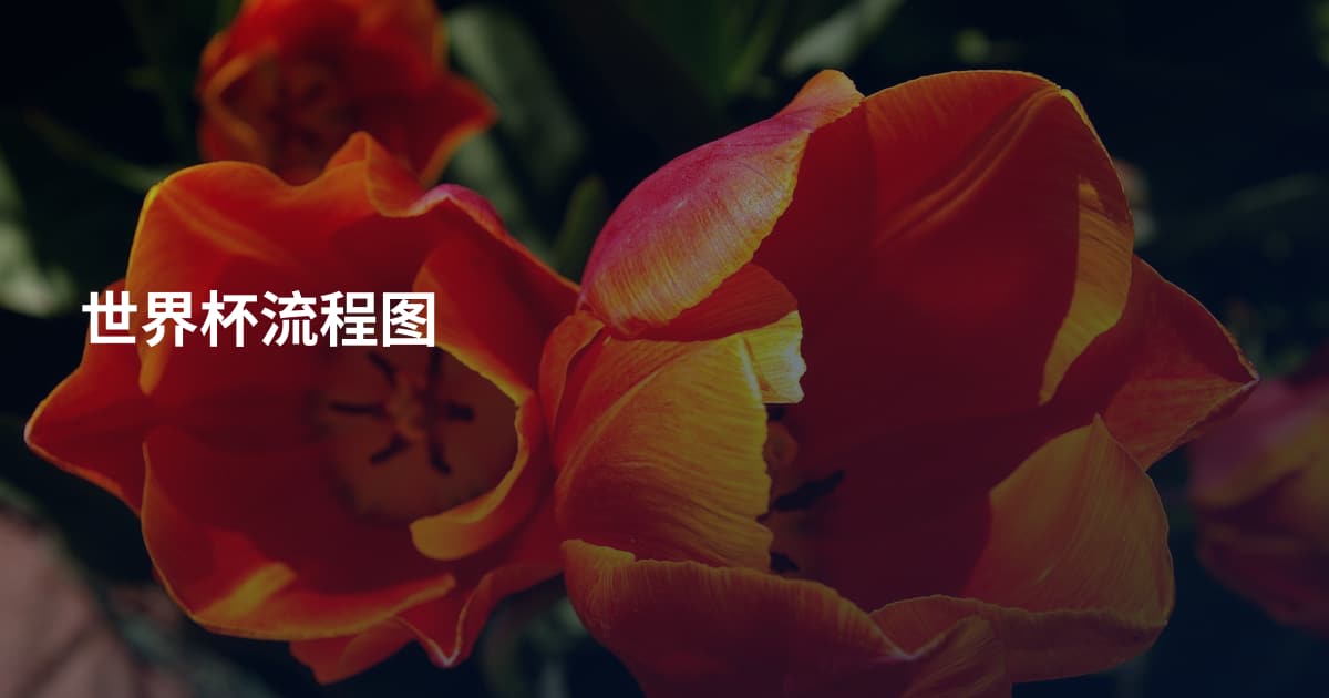 世界杯流程图
