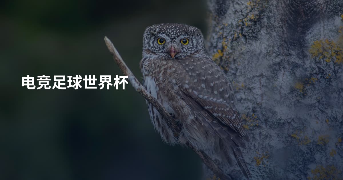 电竞足球世界杯