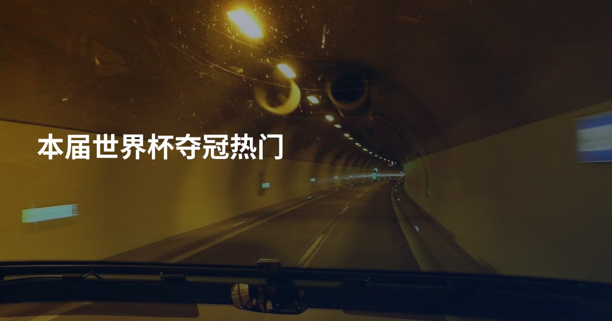 本届世界杯夺冠热门