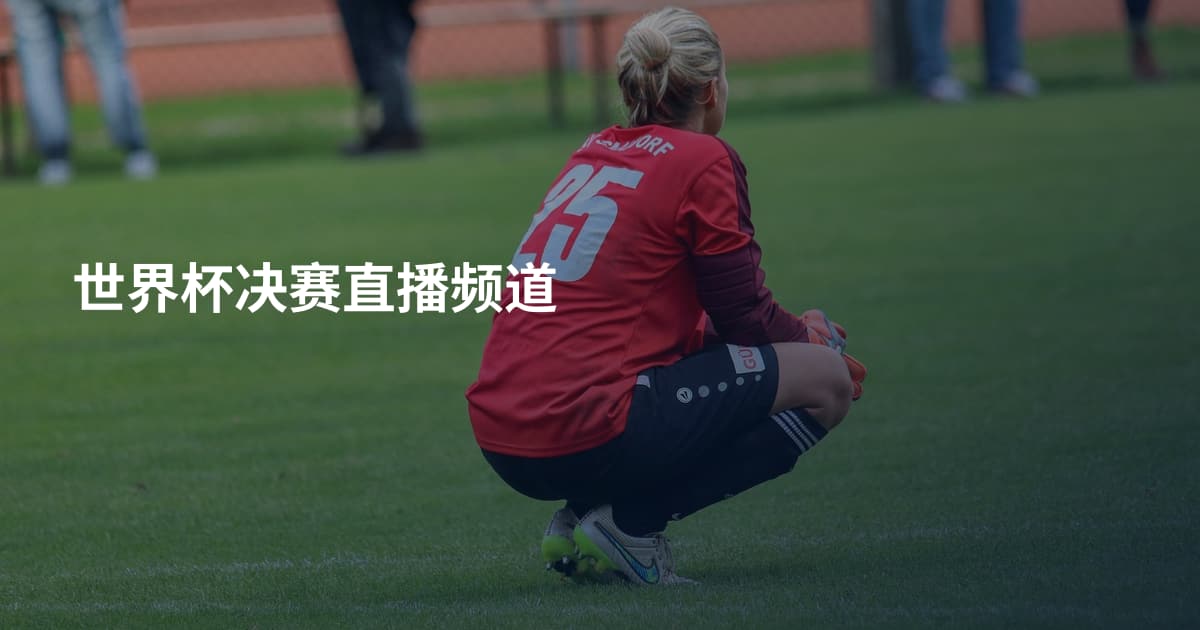 世界杯决赛直播频道