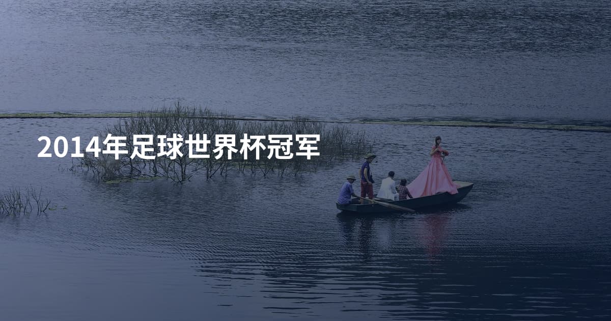 2014年足球世界杯冠军