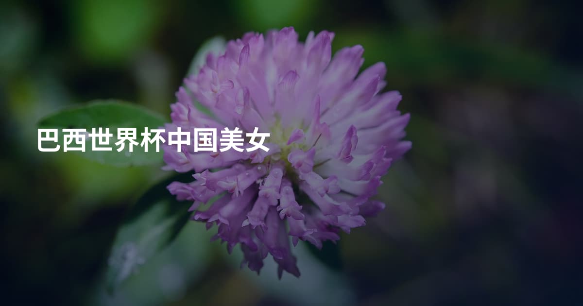 巴西世界杯中国美女