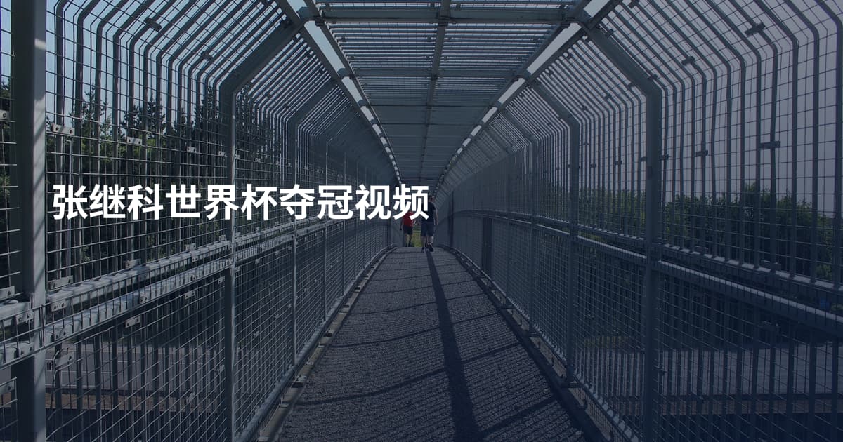 张继科世界杯夺冠视频