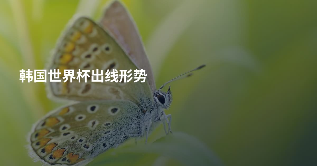 韩国世界杯出线形势
