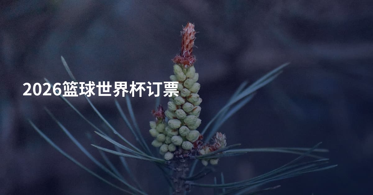 2026篮球世界杯订票