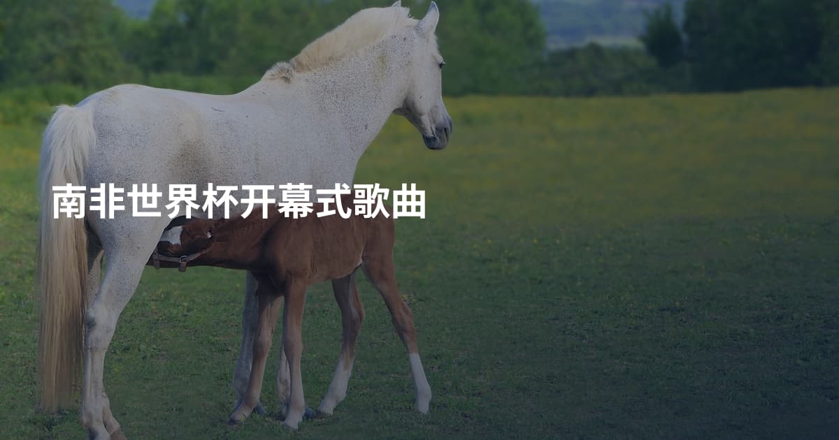 南非世界杯开幕式歌曲