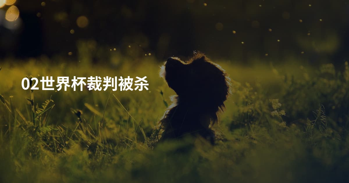 02世界杯裁判被杀