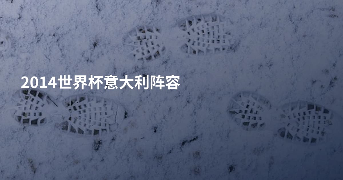 2014世界杯意大利阵容