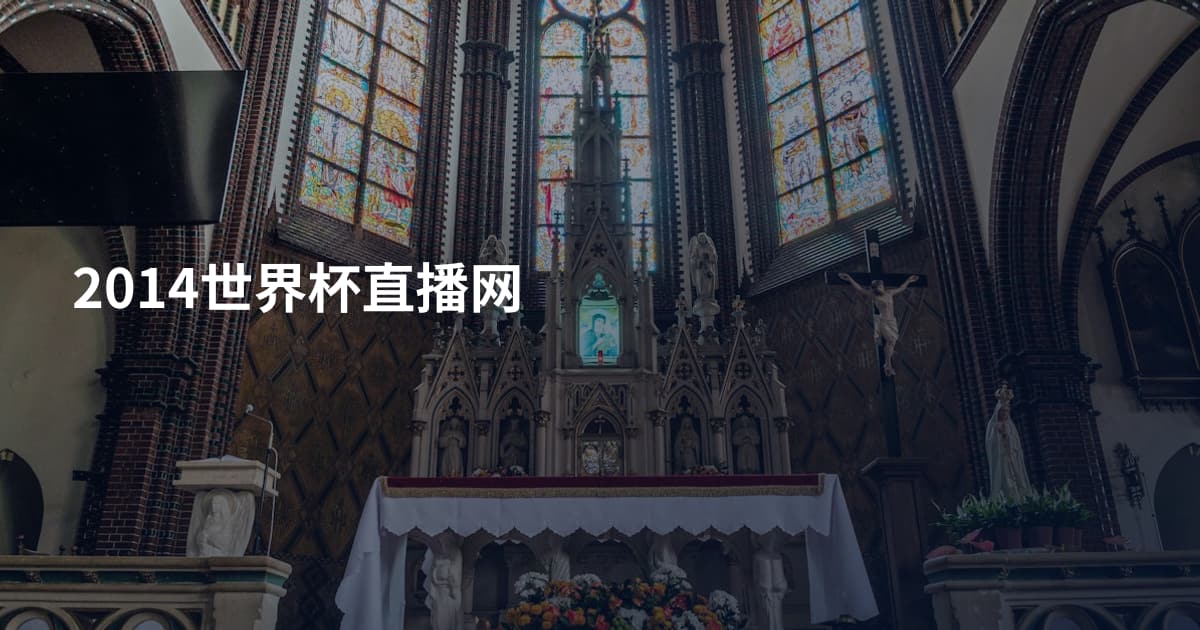 2014世界杯直播网