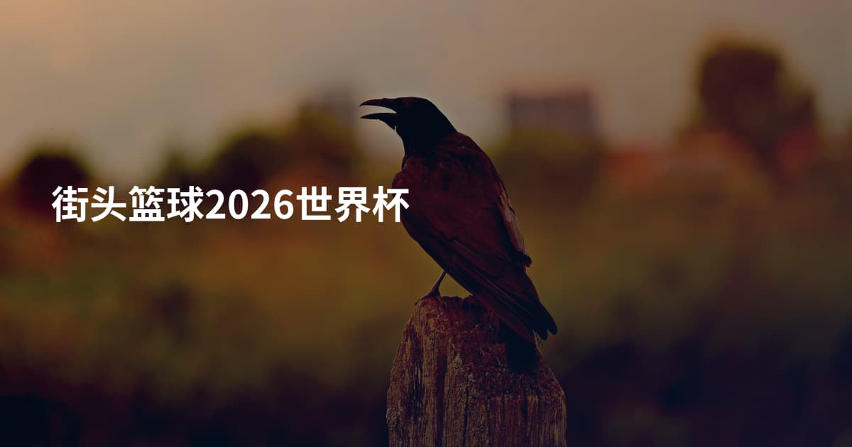 街头篮球2026世界杯