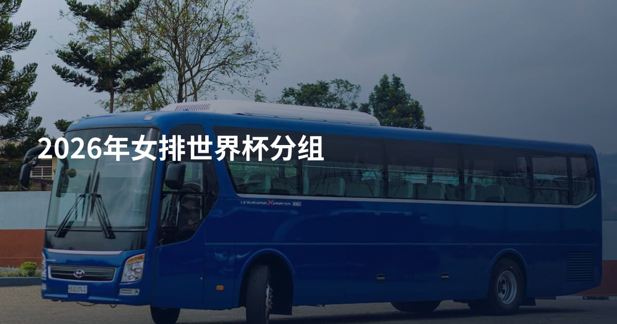 2026年女排世界杯分组