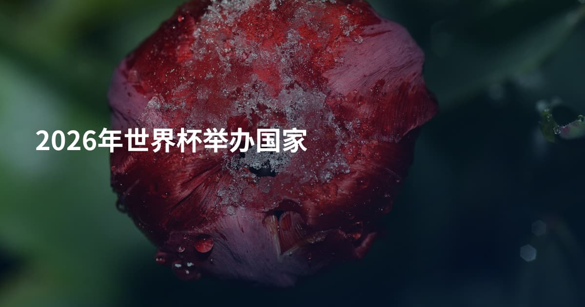 2026年世界杯举办国家