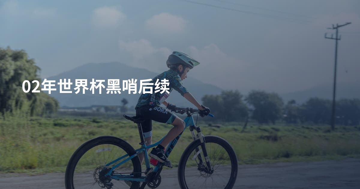 02年世界杯黑哨后续