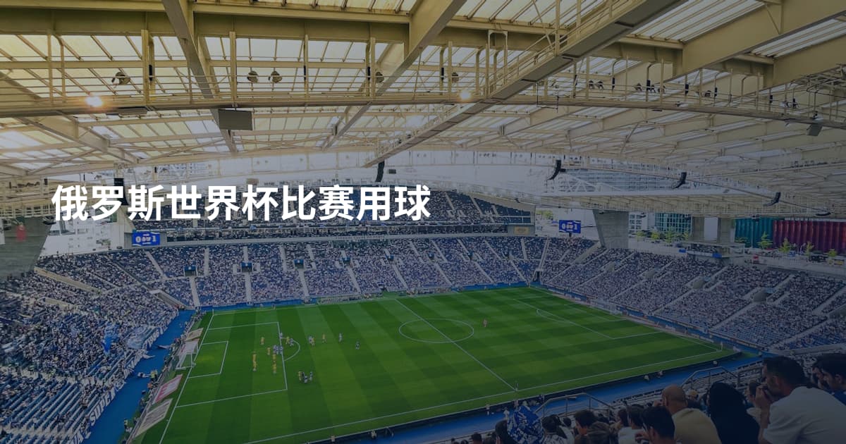 俄罗斯世界杯比赛用球