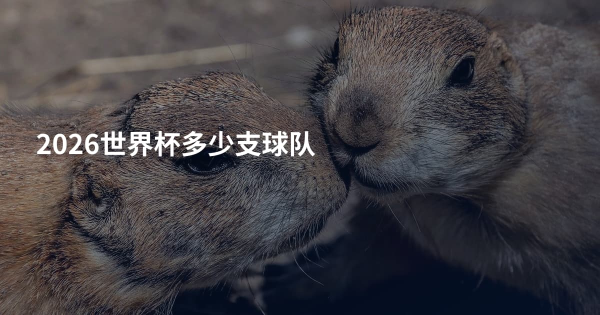 2026世界杯多少支球队