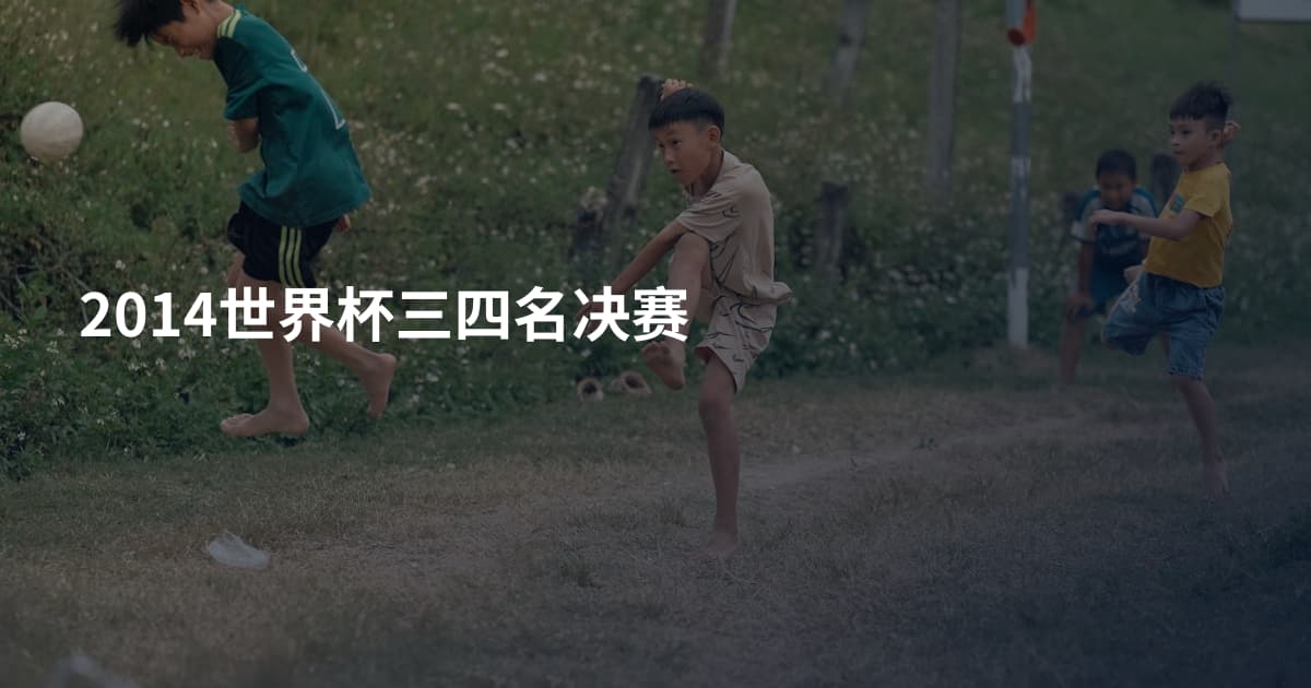 2014世界杯三四名决赛