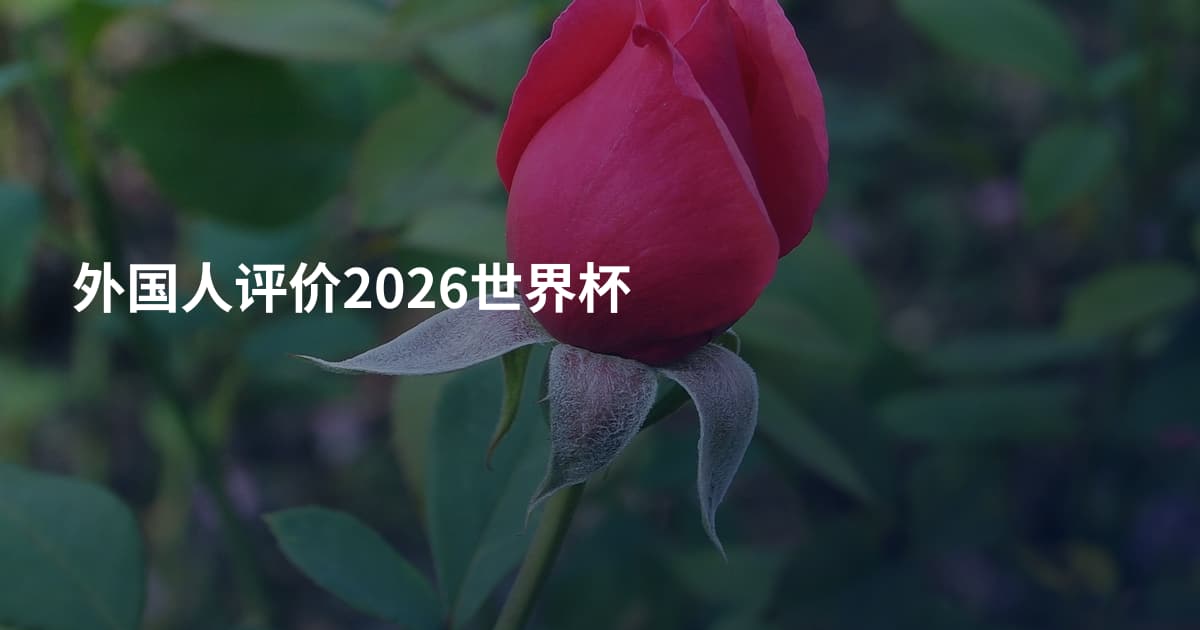 外国人评价2026世界杯